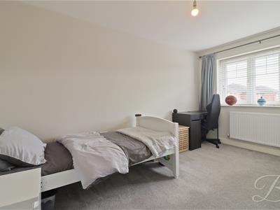 Picture 21